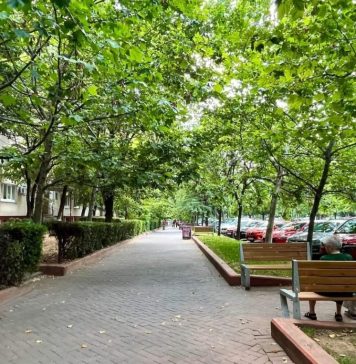 Tichetele educaționale de 500 de lei, care ar fi trebuit să ajungă la peste 400.000 de familii luna aceasta, sunt blocate