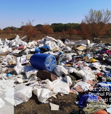 Clotilde Armand: „Din păcate, o parte din terenurile de la marginea Sectorului 1 au devenit locul predilect de depozitare a deșeurilor din construcții”