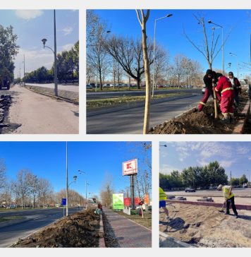 Un nou spațiu verde va fi amenajat pe bulevardul Theodor Pallady