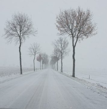 ANM: Alerte Cod galben de intensificări ale vântului în județele din sudul și centrul țării