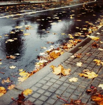 Crăciun cu temperaturi de primăvară! Val de aer tropical peste România