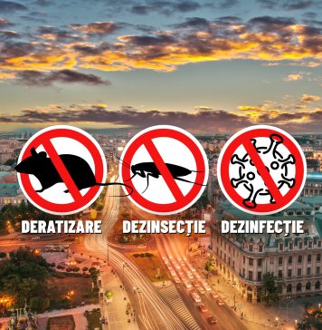 Cât va plăti Primăria Capitalei în 2024 pentru tratamente de deratizare şi dezinsecţie