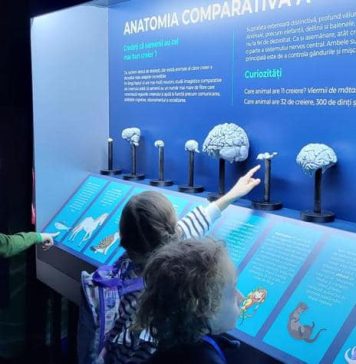 Muzeul Copiilor și-a redeschis porțile