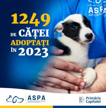 Nicușor Dan: Continuăm și anul acesta campaniile de adopții de căței