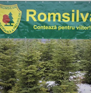 Marius Dan Sîiulescu, numit la șefia Romsilva, pentru un mandat provizoriu de patru luni