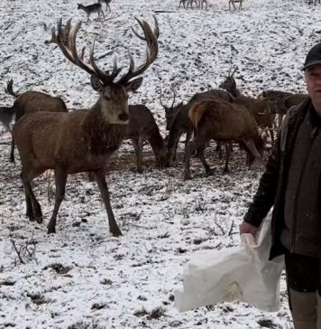 VIRAL Clipul unui senator a fost urmărit de peste 1,1 milioane de oameni în 48 de ore