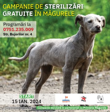 Campanie de sterilizări gratuite pentru câinii și pisicile de rasă comună din Măgurele, Ilfov
