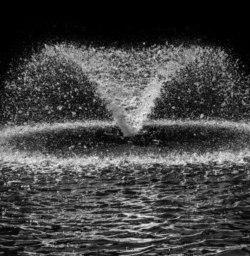 Fântânile din două parcuri bucureştene vor fi reabilitate, au decis consilierii municipali