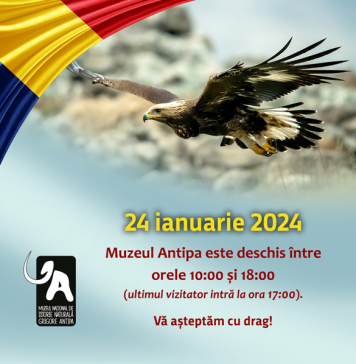 Programul de vizitare al Muzeului Antipa în 24 ianuarie 2024