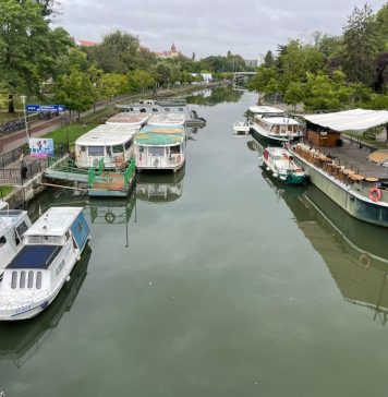 Alin Nica, președintele Consiliului Județean Timiș: Municipiul Timișoara poate deveni un port