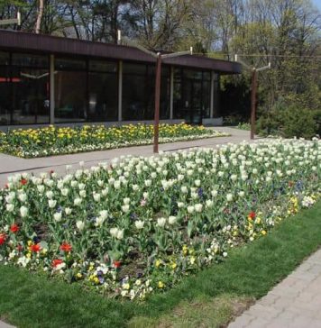 Pavilioanele cu flori exotice din Parcul Regele Mihai I se vor redeschide publicului