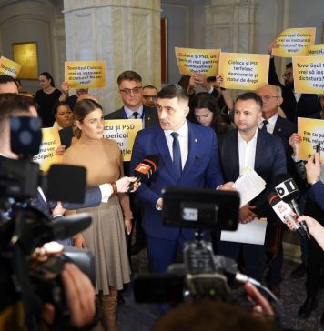 Gianina Șerban (AUR): Alegerile nu pot fi comasate! Constituția trebuie respectată!