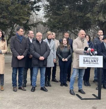 Antonel Tănase, Forța Dreptei București: ”Parcul Plumbuita este de acum reîntregit și va rămâne spațiu verde”