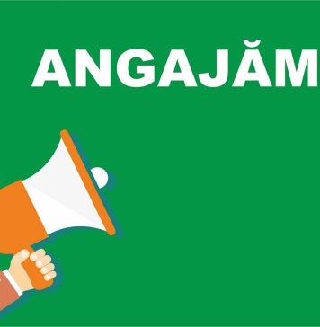 Primăria Sectorului 6 scoate la concurs 70 de posturi pentru muncitori necalificați. Salariul net pornește de la 2.600 lei