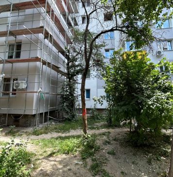 Piedone, semnal de alarmă cu privire la problema copacilor uscați din București. ”Treci la treabă, profesore!”, îi transmite primarului general