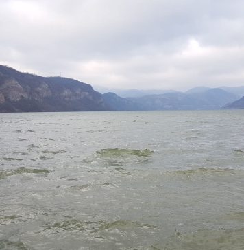 Cât plastic curge pe Dunăre în fiecare an