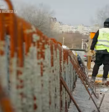 Care este stadiul lucrărilor la podul din Parcul Tineretului