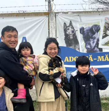 O familie de japonezi a adoptat un pui de cățel din adăpostul ASPA Bragadiru
