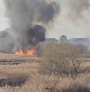 VIDEO Un incendiu a izbucnit în Delta Văcărești! Pompierii din București intervin de urgență