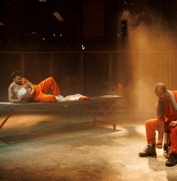 Weekend cu două spectacole de teatru în premieră la Teatrul Metropolis și la Teatrul Excelsior