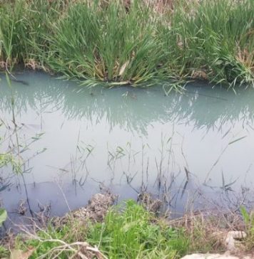 Cote de poluare în Râul Pasărea din Otopeni, depășite cu 600%