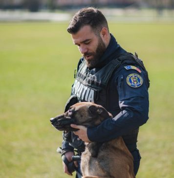Poliţia Română scoate la concurs 60 de posturi de agent şi conductor de câini. Care este condiția esențială?