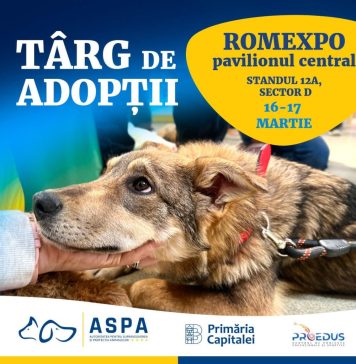 Târg de adopții organizat de ASPA, sâmbătă și duminică, la PetExpo România