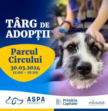 Primul târg de adopții în aer liber din acest an, în Parcul Circului