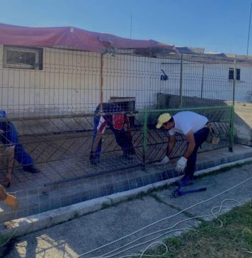 Adăposturile de câini fără stăpân ale ASPA, reparate. Lucrările au fost începute în luna mai a anului 2023