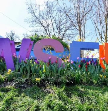 Zeci de comercianți, aleșideja pentru West Side Flower Fest 2024