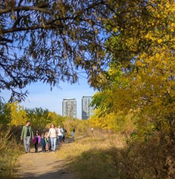 Nicușor Dan: A început ”Săptămâna Verde” în Parcul Natural Văcărești