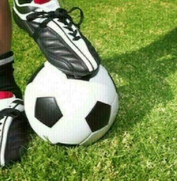 Fotbal: Selecţionerul Serbiei, Dragan Stojkovic, pe banca tehnică până în 2026