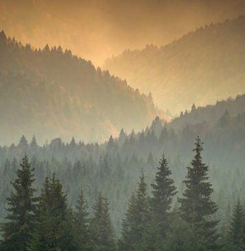 Artiștii sunt invitați să creeze un Manifest pentru Munții Făgăraș