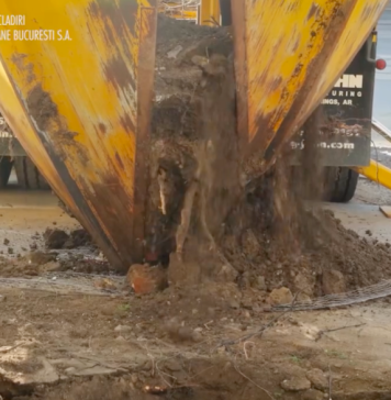 Arbori din zona Bulevardului Ghencea, mutați în Parcul Herăstrău