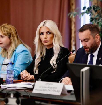 Comisia juridică a Camerei Deputaţilor, vot pe proiectul de lege care permite devansarea datei alegerilor preşedintelui României