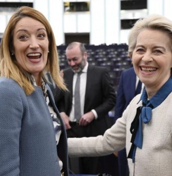 „Ceea ce pentru Paris, Berlin, Madrid, Roma sau Varșovia ar fi fost o jignire adusă celor care suferă de pe urma politicilor impuse de PPE, la București pare să fie un prilej de emfază și mândrie”, spune jurnalistul Octavian Ştireanu