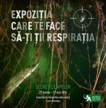 Expoziţia temporară de fotografie subacvatică „Secretele apelor”, la Muzeul Antipa
