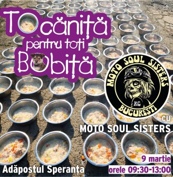 Motociclistele Soul Sisters gătesc o tocăniță pentru cei 500 de câini ai Adăpostului Speranța
