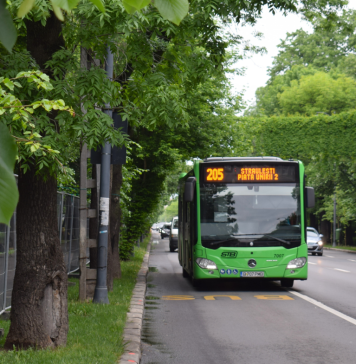 Un festival de street food deviază liniile 100, 203 și 205 în acest weekend