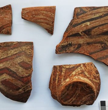 Scientists from Poland and Germany involved in research of Neamt County archaeological heritage