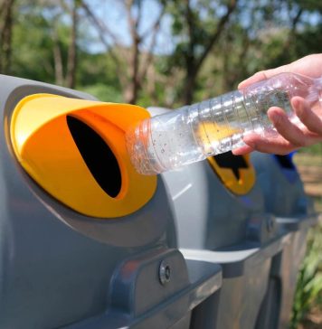 Salubrizare 5: Cum și de ce este bine să reciclăm?