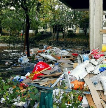 Amplă acțiune de salubrizare în Sectorul 5, de la străzi aglomerate la spațiile verzi dintre blocuri