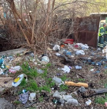 Zona fostului complex Minerva a fost curățată de gunoaie