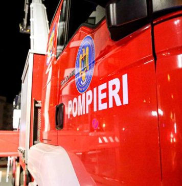 Pui de pisică, salvat de pompieri din spatele unui perete dintr-o clădire de birouri din Bucureşti