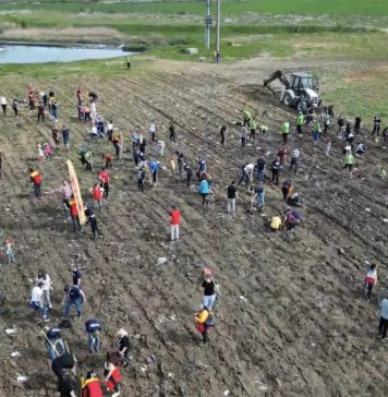 Un nou parc natural, în localitatea Cernica – VIDEO