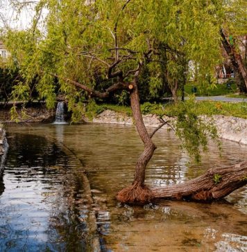 FOTO/ Lucrările la cuva Lacului Mic din Grădina Cișmigiu au fost finalizate