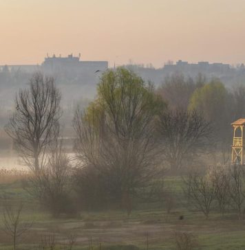 Acțiune de ecologizare a Parcului Natural Văcărești sâmbătă, 13 aprilie. Se caută voluntari!