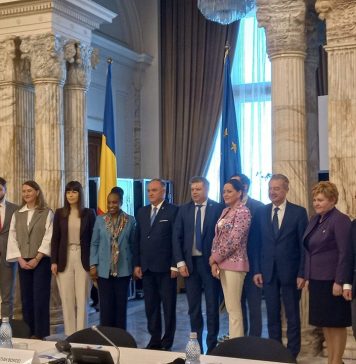 Oana Marciana Ozmen, la întrevederea Comisiilor reunite pentru politică externă și industrii și servicii cu Delegația Națiunilor Unite pentru Dezvoltare Industrială