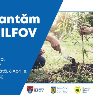 Ilfov: O nouă acțiune de plantare, în Cernica, pe 6 aprilie