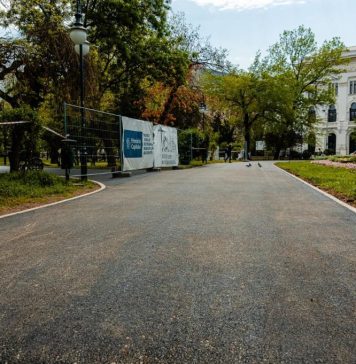 FOTO/ Primele alei din Cișmigiu sunt gata și au fost deschise circulației